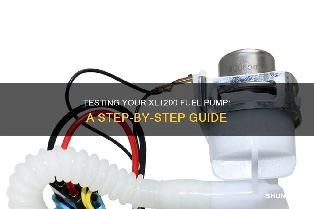 how to test fuel pump xl1200