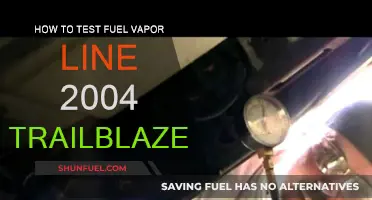 Troubleshooting Fuel Vapor Issues: A Guide for 2004 Trailblazer Owners