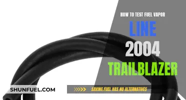 Testing Fuel Vapor Line in a 2004 Trailblazer