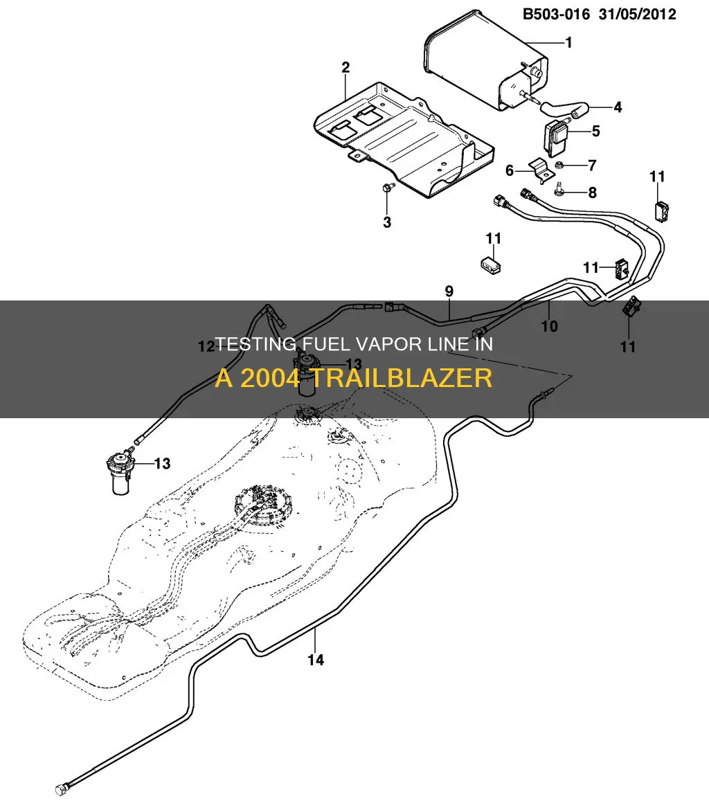 how to test fuel vapor line 2004 trailblazer