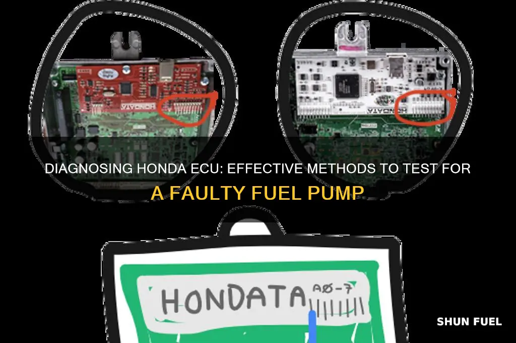 how to test honda ecu for bad fuel pump