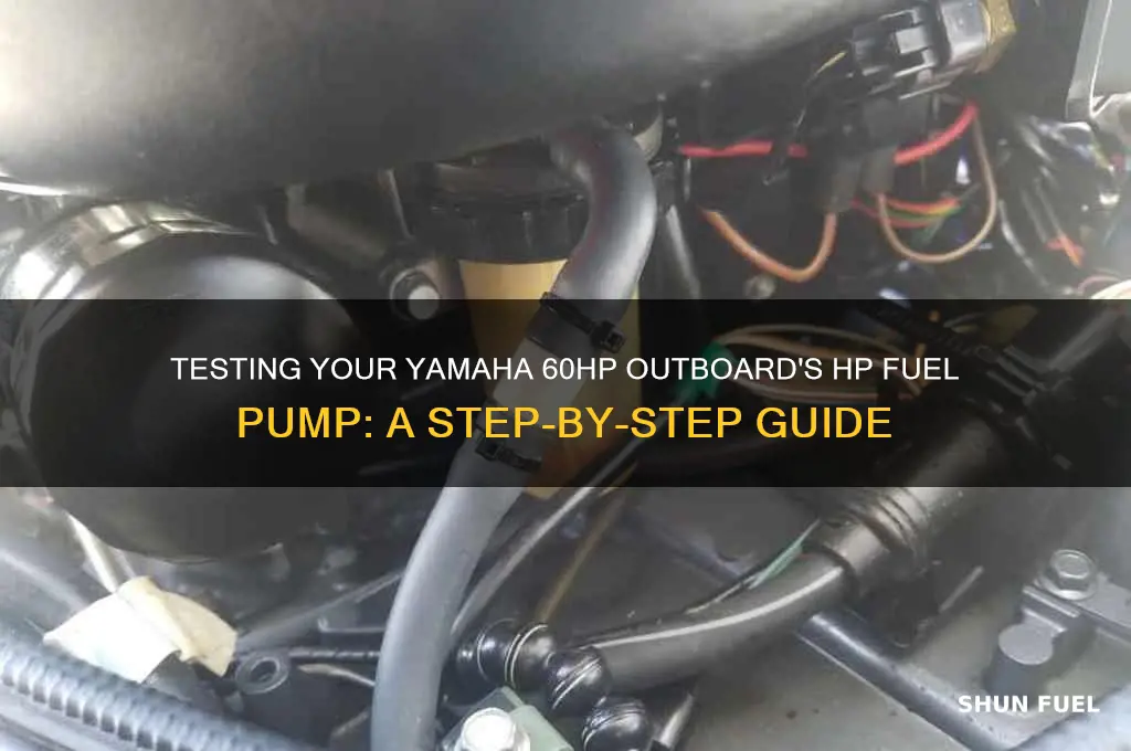how to test hp fuel pump yamaha ouboard 60hp