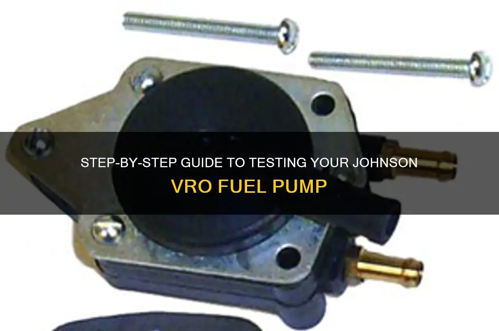 how to test johnson vro fuel pump
