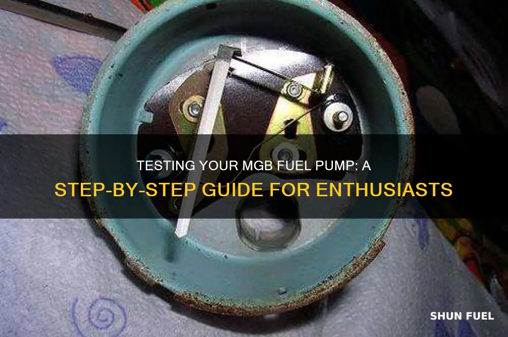 how to test mgb fuel pump