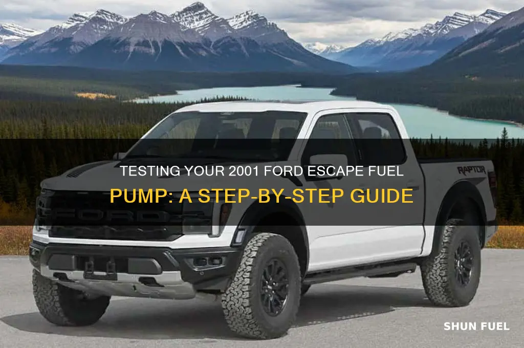 how to test my 2001 ford escape fuel pump