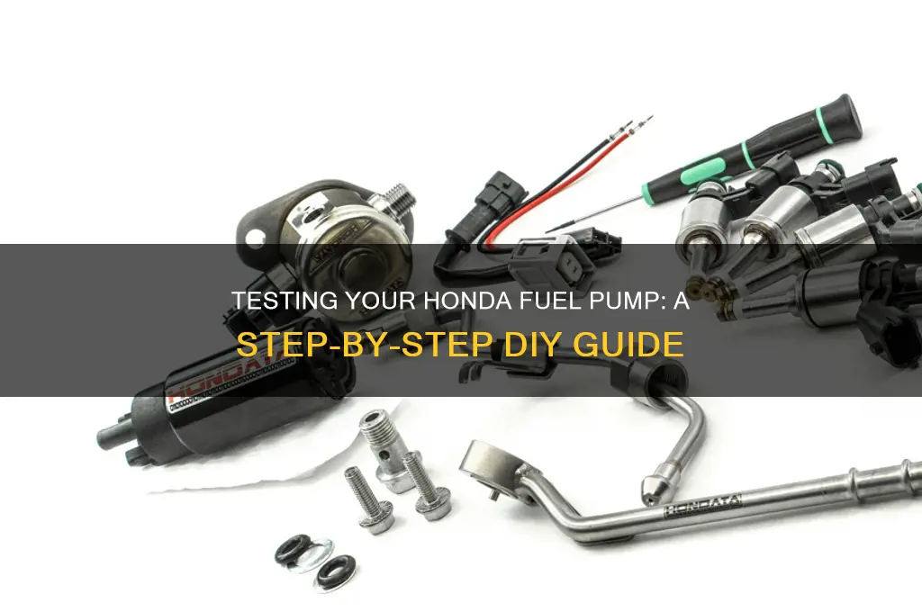 how to test my honda fuel pump