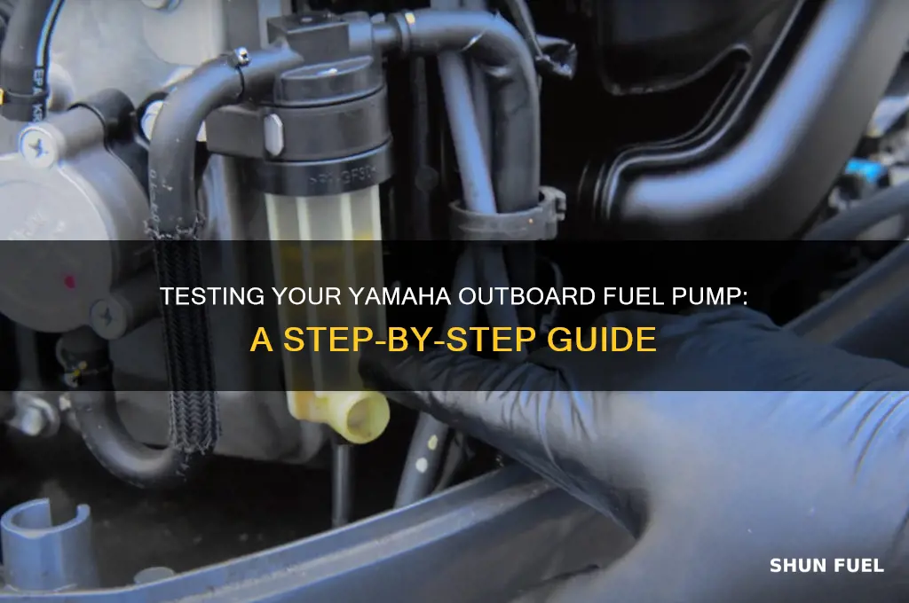 how to test outboard fuel pump yamaha