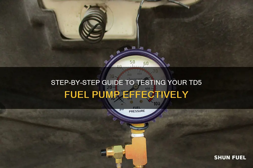 how to test td5 fuel pump