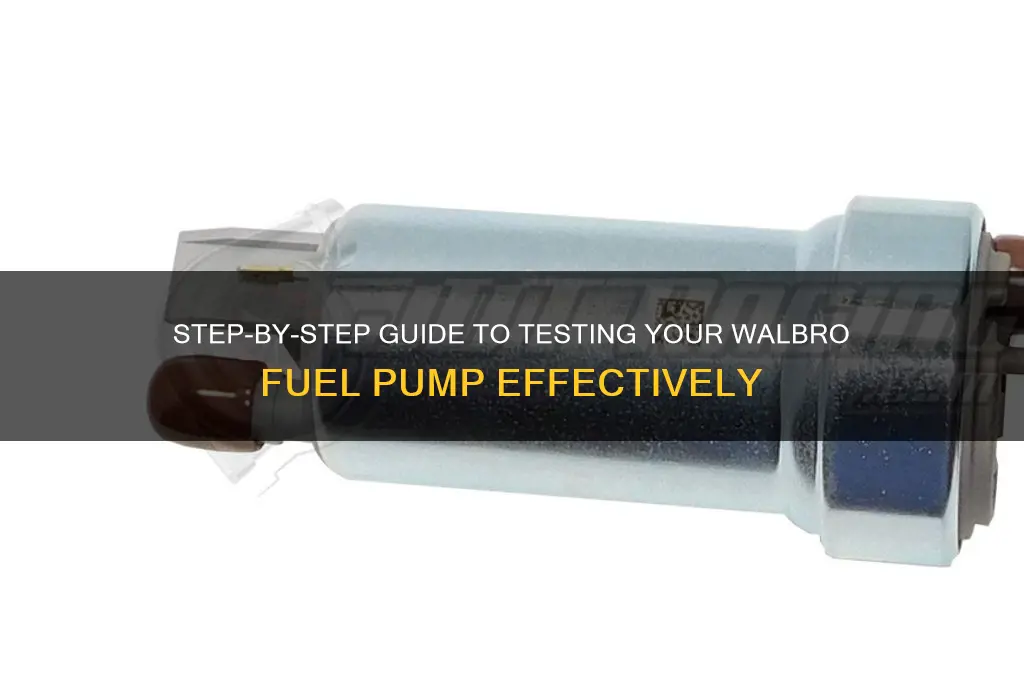 how to test walbro fuel pump