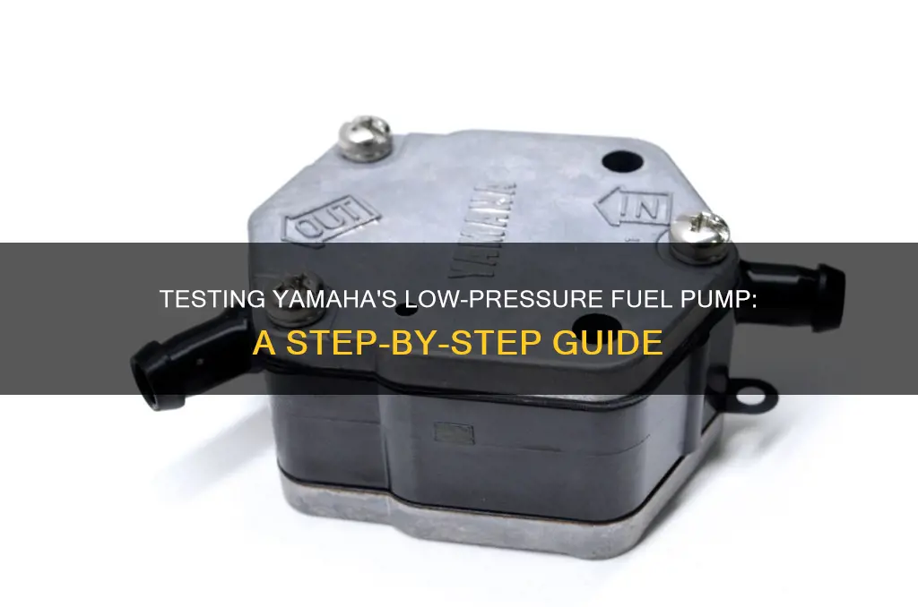 how to test yamaha low pressure fuel pump