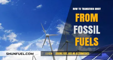 Transitioning Beyond Fossil Fuels: A Sustainable Energy Revolution