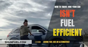 Traveling with a Gas Guzzler: Strategies for Inefficient Cars