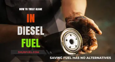 Treating Algae in Diesel Fuel: Effective Solutions