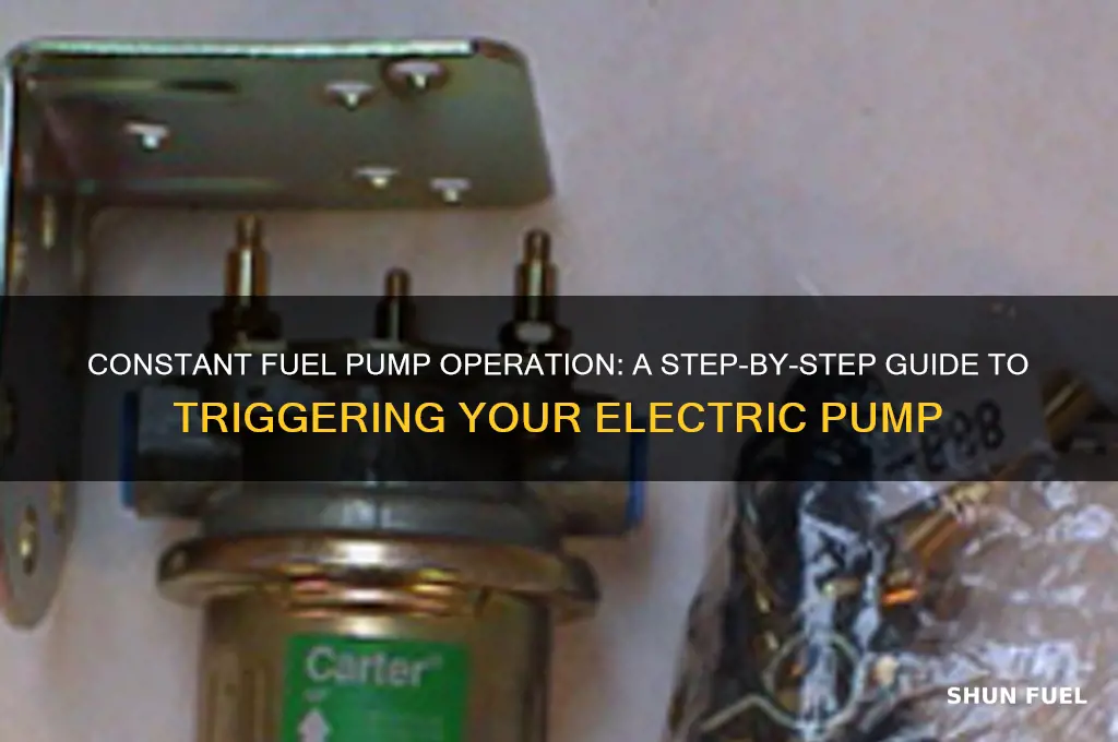 how to trigger the electric fuel pump to run constantly