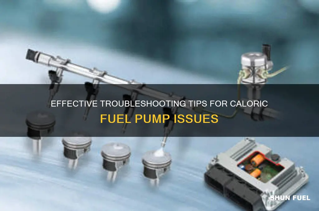 how to troubleshoot caloric fuel pump