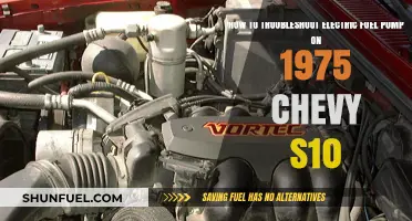 Troubleshooting Your 1975 Chevy S10's Electric Fuel Pump: A Guide