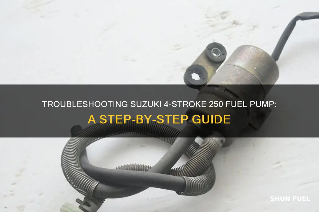 how to troubleshoot suzuki 4 stroke 250 fuel pump