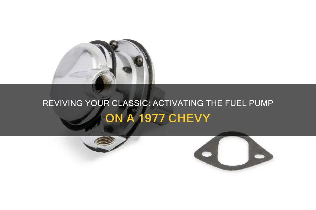how to turn fuel pump on 77 chevy