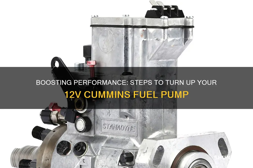 how to turn up 12v cummins fuel pump