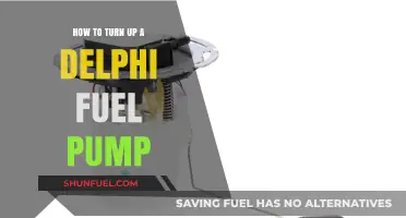 Step-by-Step Guide: Activating Your Delphi Fuel Pump Efficiently