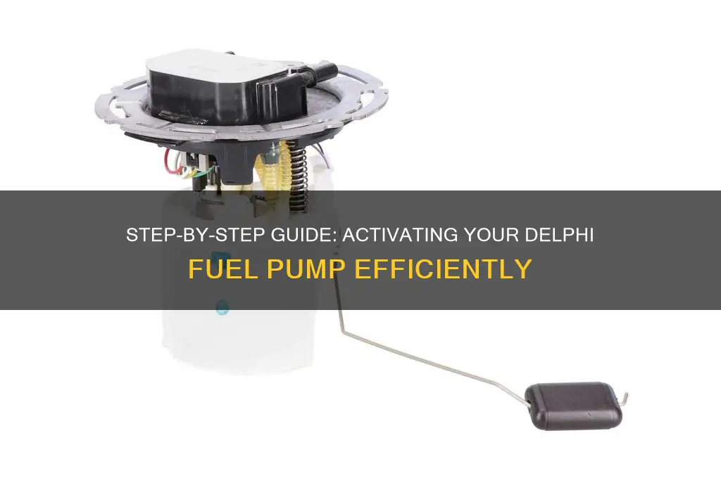 how to turn up a delphi fuel pump