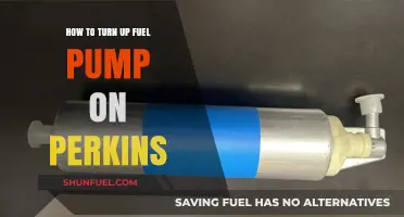 Perkins Fuel Pump Activation Guide: Step-by-Step Instructions to Turn It On