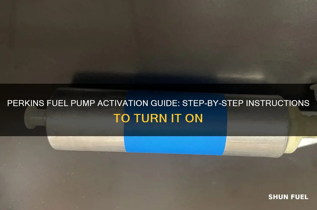 how to turn up fuel pump on perkins