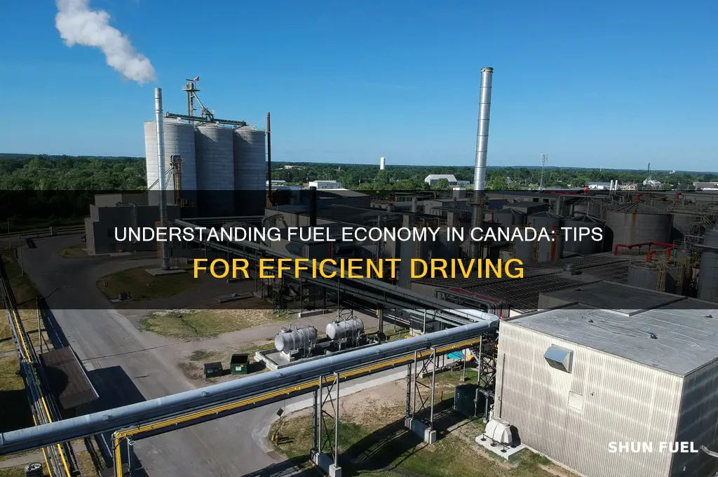 how to understand fuel economy canada