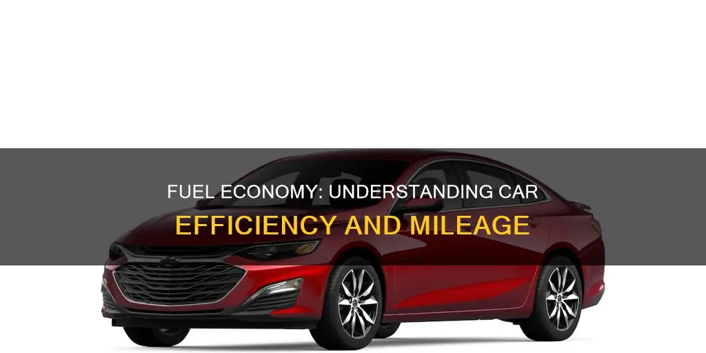 how to understand fuel economy for cars