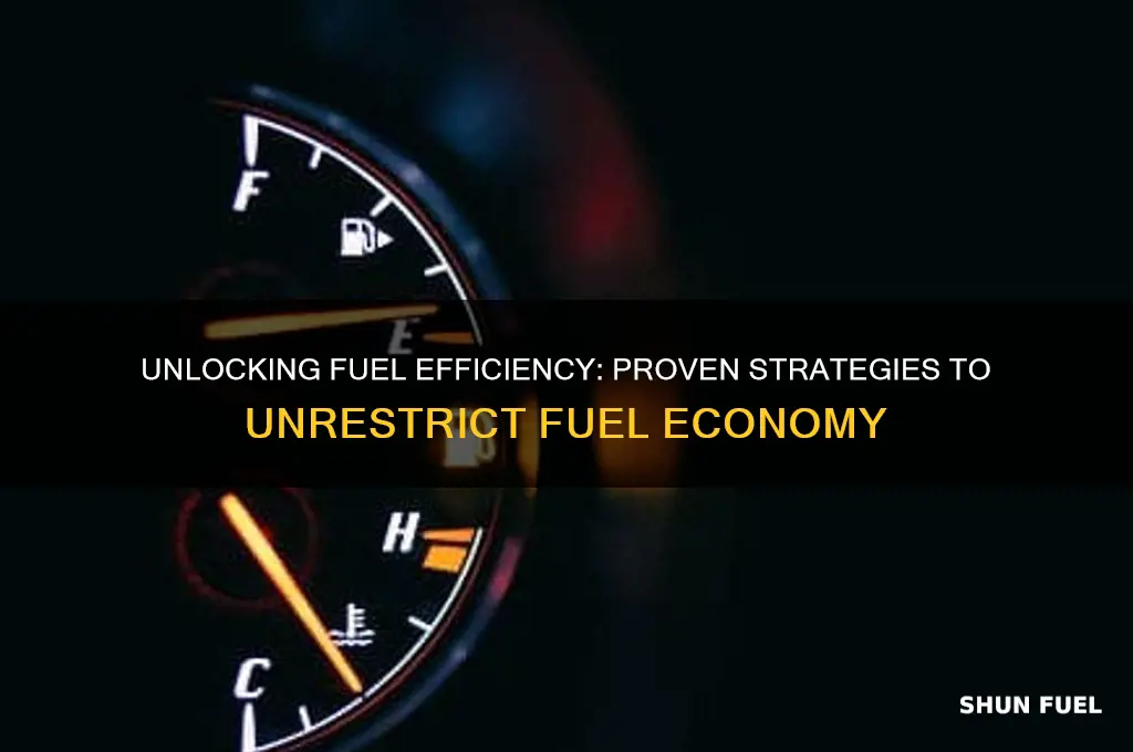 how to unrestrict fuel economy
