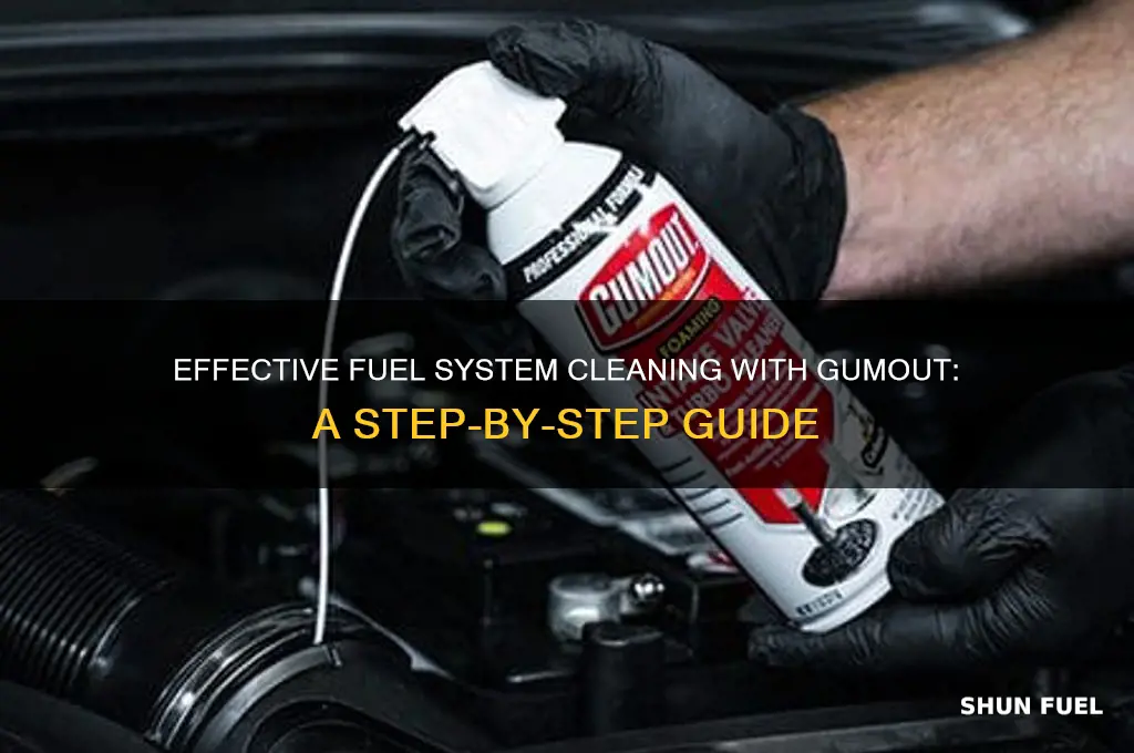 how to use 1 part gumout fuel system cleaner