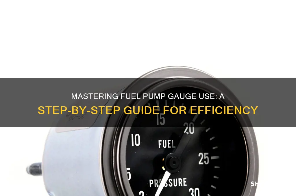 how to use a fuel pump gauge