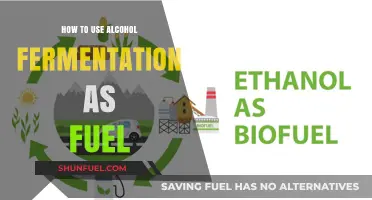 Harnessing Alcohol Fermentation: A Sustainable Fuel Alternative for Energy Needs