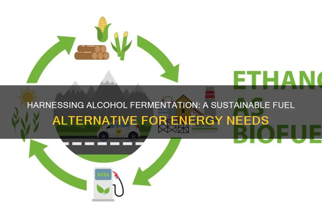 how to use alcohol fermentation as fuel