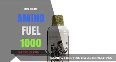 Maximize Your Workouts: A Guide to Using Amino Fuel 1000 Effectively