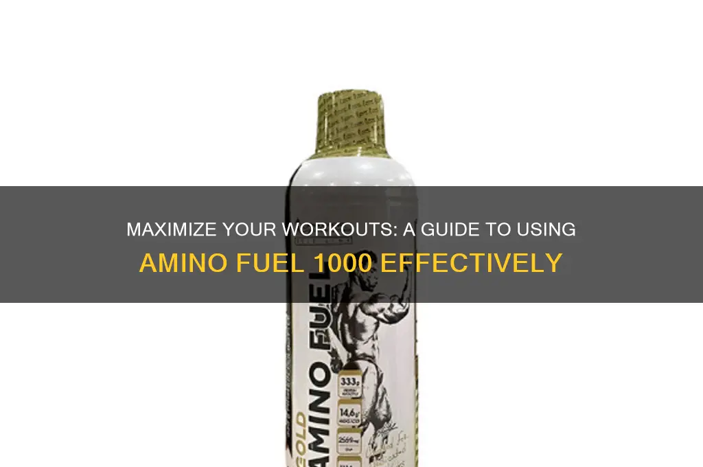 how to use amino fuel 1000