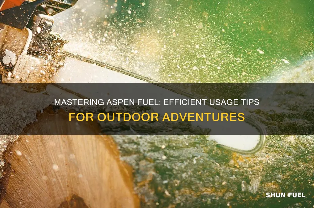 how to use aspen fuel