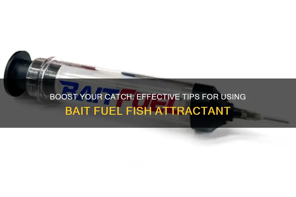 how to use bait fuel fish attractant