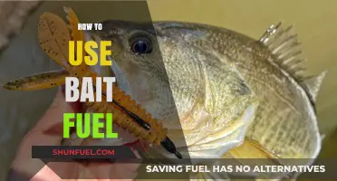 Mastering Bait Fuel: Effective Techniques for Optimal Fishing Results