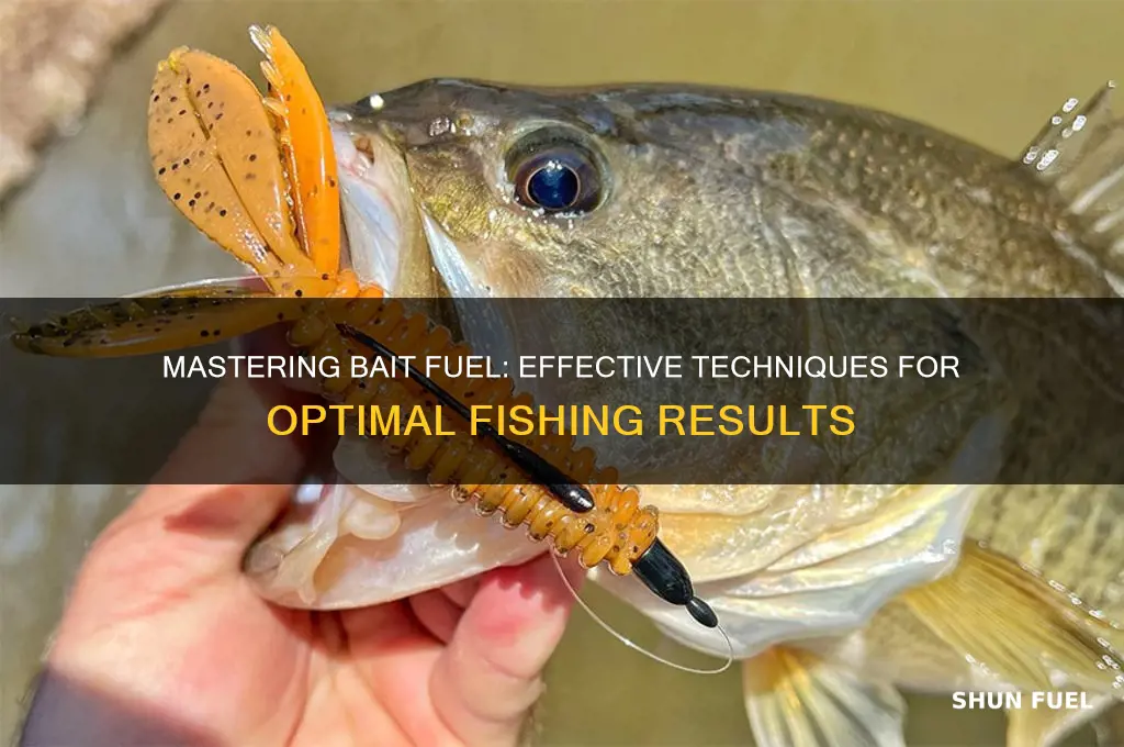 how to use bait fuel