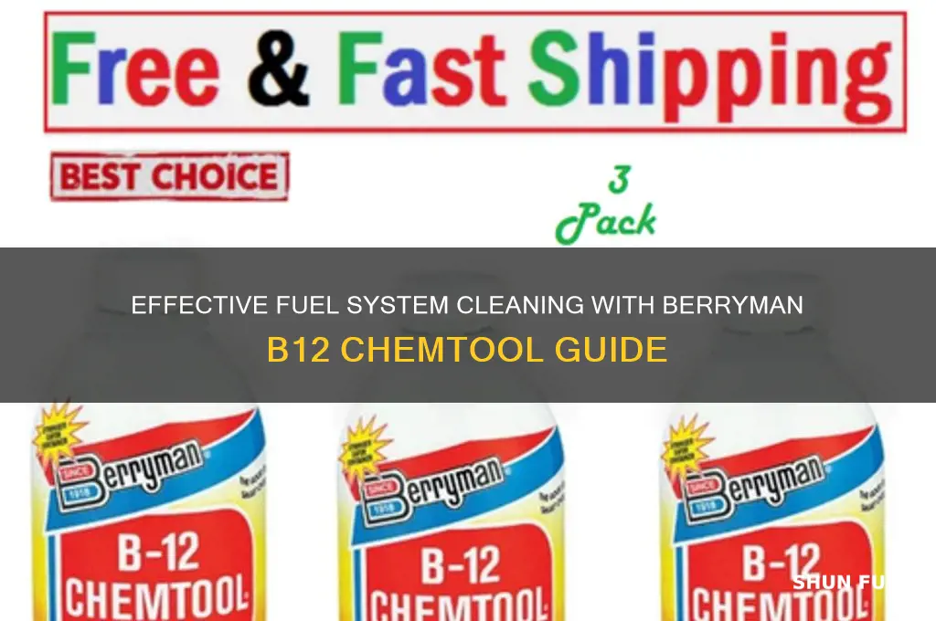 how to use berryman b12 chemtool total fuel system clean-up