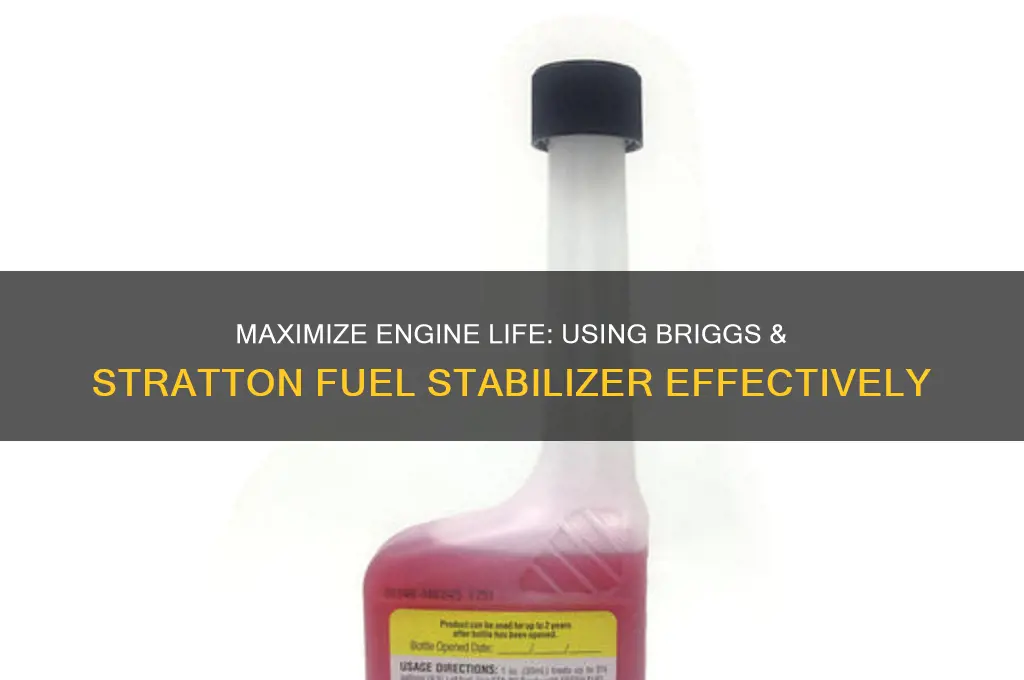 how to use briggs and stratton fuel stabilizer