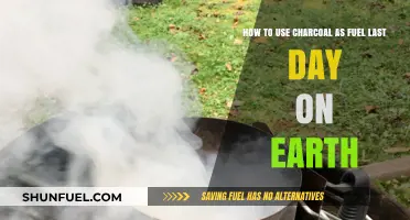 Mastering Charcoal Fuel for Survival in Last Day on Earth