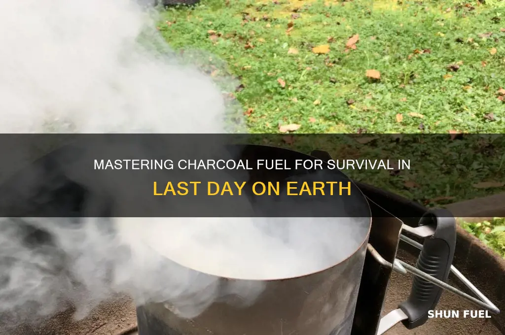 how to use charcoal as fuel last day on earth
