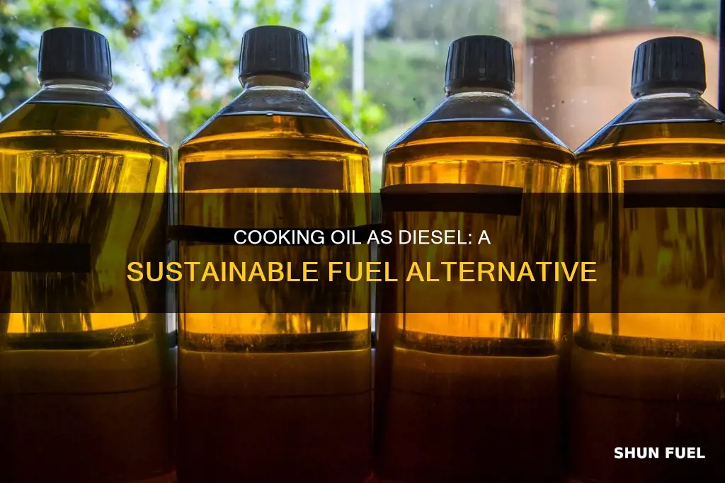 how to use cooking oil for diesel fuel