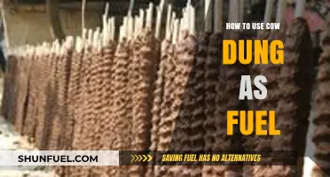 Sustainable Energy: Transforming Cow Dung into Efficient Household Fuel