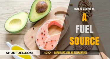 Unlocking Energy: How to Use Fat as a Fuel Source