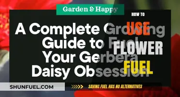 Maximize Your Garden's Potential: A Guide to Using Flower Fuel