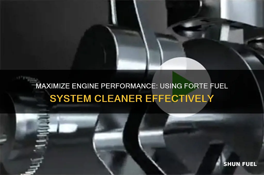 how to use forte fuel system cleaner