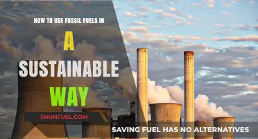 Sustainable Fossil Fuels: The Green Transition